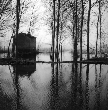 serie 'In Padule'