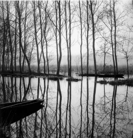 serie 'In Padule'