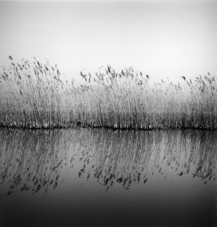 serie 'In Padule'