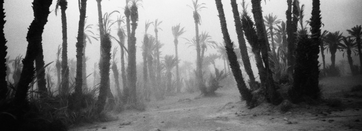 Marocco, Valle del Dra