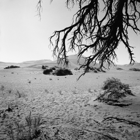 Namibia, Sussusvley